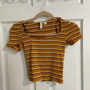 Mustard yellow crop top